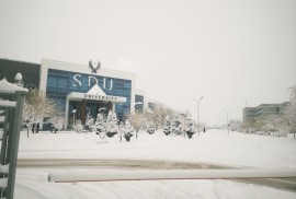 SDU University, факультет права и социальных наук, Higher education, 13-18 years old