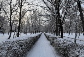 Кентауский институт международного казахско-турецк, Высшее, 13-18 лет