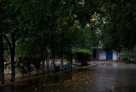 Асар, школа художественной гимнастики, Гимнастика, Спортивная гимнастика