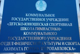 Детско-юношеская спортивная школа гимнастики, Гимнастика, Спортивная гимнастика