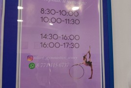 Siluet gymnastics, школа гимнастики, Гимнастика, Спортивная гимнастика