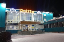 Дельфин, Управление физической культуры и спорта а, Водные виды, Плавание
