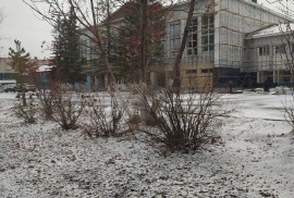 Жеңіс, специализированная детско-юношеская спортив, С мячом, Футбол