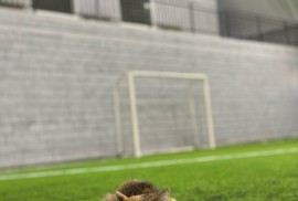 Golazo, спортивный комплекс, С мячом, Футбол