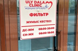 Uly Dala Clinic, поликлиника