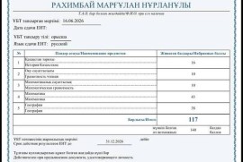 Подготовка к ЕНТ (физ-мат), школьная программа, High school, School, 7-13 years old, 13-18 years old